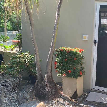 Beachfront Dolphin Cabin Oak Beach المظهر الخارجي الصورة